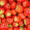 SA-Obst